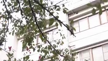 แตกใน เสียวหี เสียวควย เลียหี เย็ดไม่พัก